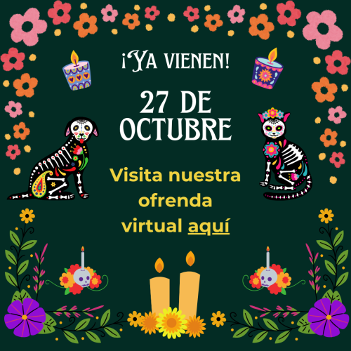 Ofrenda Digital 2024